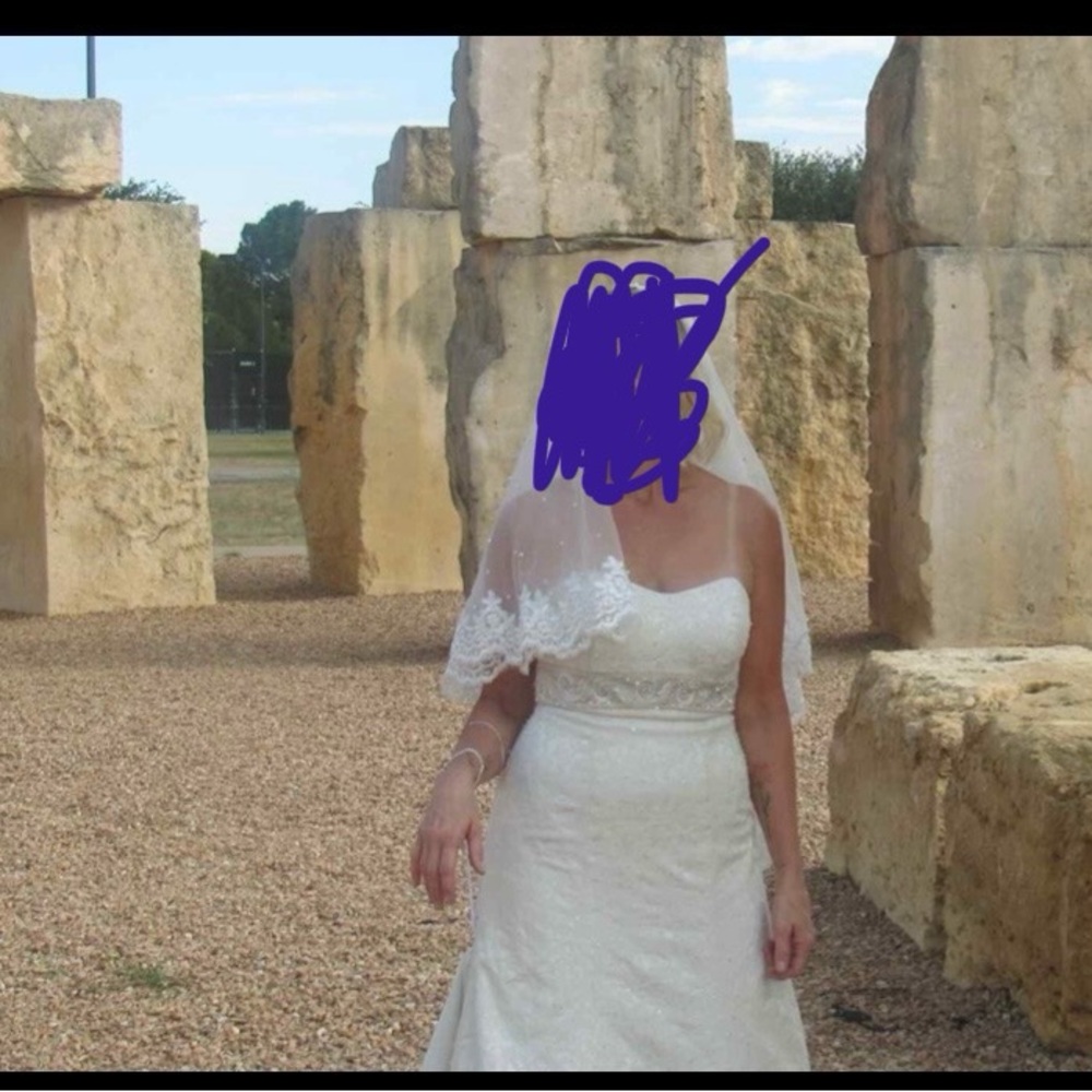 Wedding dress and Veil.